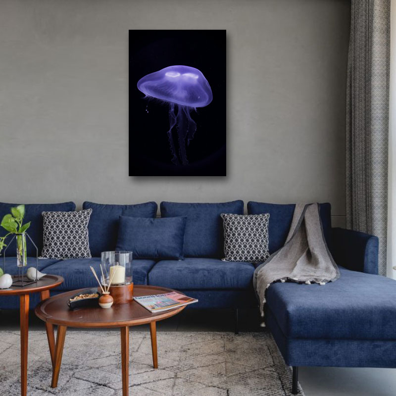 Πίνακας σε καμβά Jelly fish 2